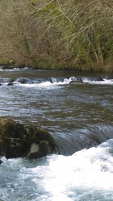 Stunning 3 Bed Riverside Cabin In Snowdonia Caeathro ภายนอก รูปภาพ