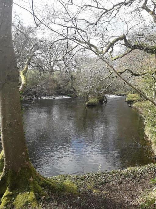 Stunning 3 Bed Riverside Cabin In Snowdonia Caeathro ภายนอก รูปภาพ