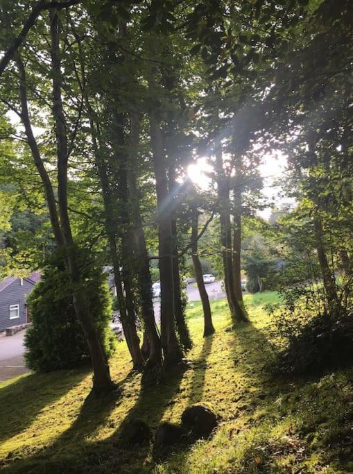 Stunning 3 Bed Riverside Cabin In Snowdonia Caeathro ภายนอก รูปภาพ